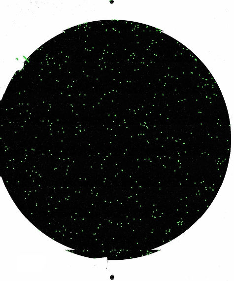 Surface Profile — 3D topography map