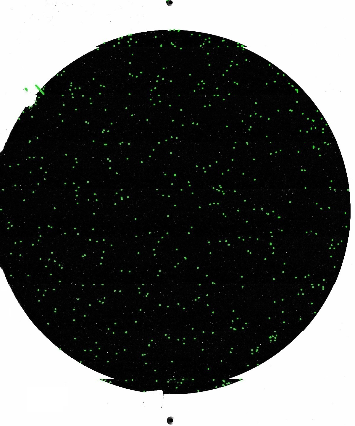 Film Thickness — 3D wafer bumping profile